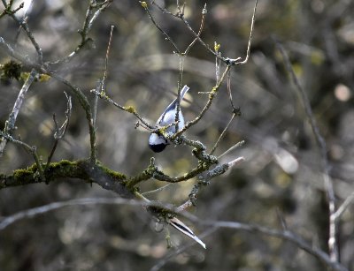 DSC_9678
