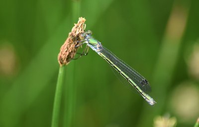 DSC_6844