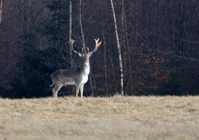 140302-Křečany 028